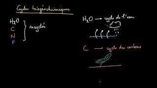 Différence entre les cycles biogéochimiques gazeux et sédimentaires