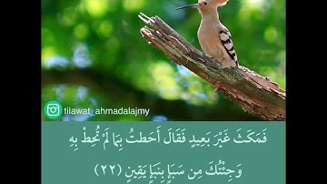 سورة النمل | آية ٢٠ - ٢٧ | الهدهد