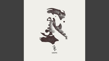 Root 7 (Hidolas Remix)