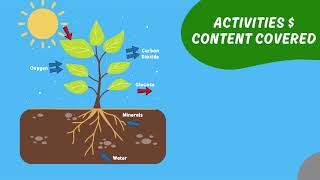 Video Presentation Script: Microteaching Lesson #1