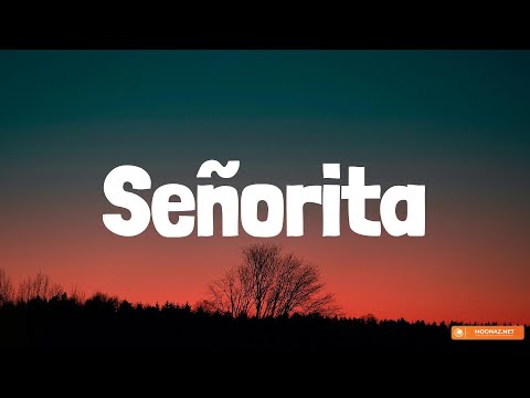 Wisin – Señorita Lyrics/Letra)