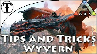Fast Wyvern Taming Guide :: Ark : Survival Evolved Tips and Ticks