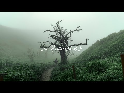 شجریان در هوای تو
