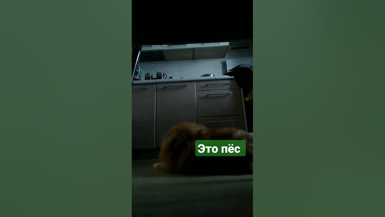 мы возвращаемся - YouTube