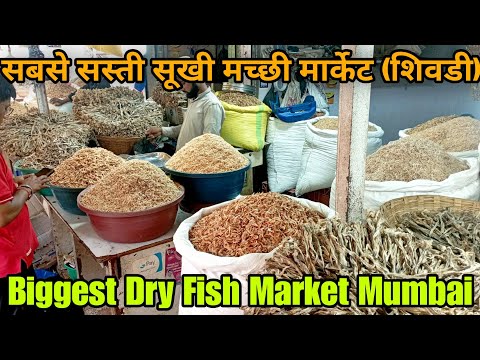 Biggest Dry Fish Market Of मुंबई  Update 2023  सबसे सस्ता सुखी