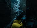 Quiet Depths of the Diver's Ledger