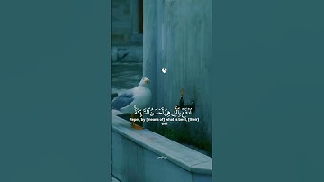 سورہ مومنون #لايك #حالات_واتس #تلاوة_خاشعة #اكسبلور
