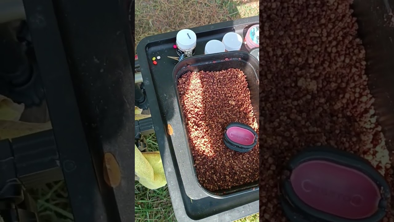 Ttm bio mikro pellet kipróbálása a Deszki-horgásztón