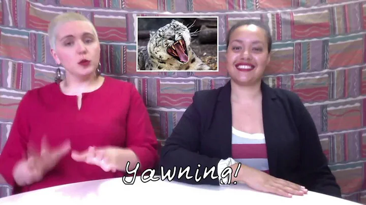 Observing The World: Why Do We Yawn?