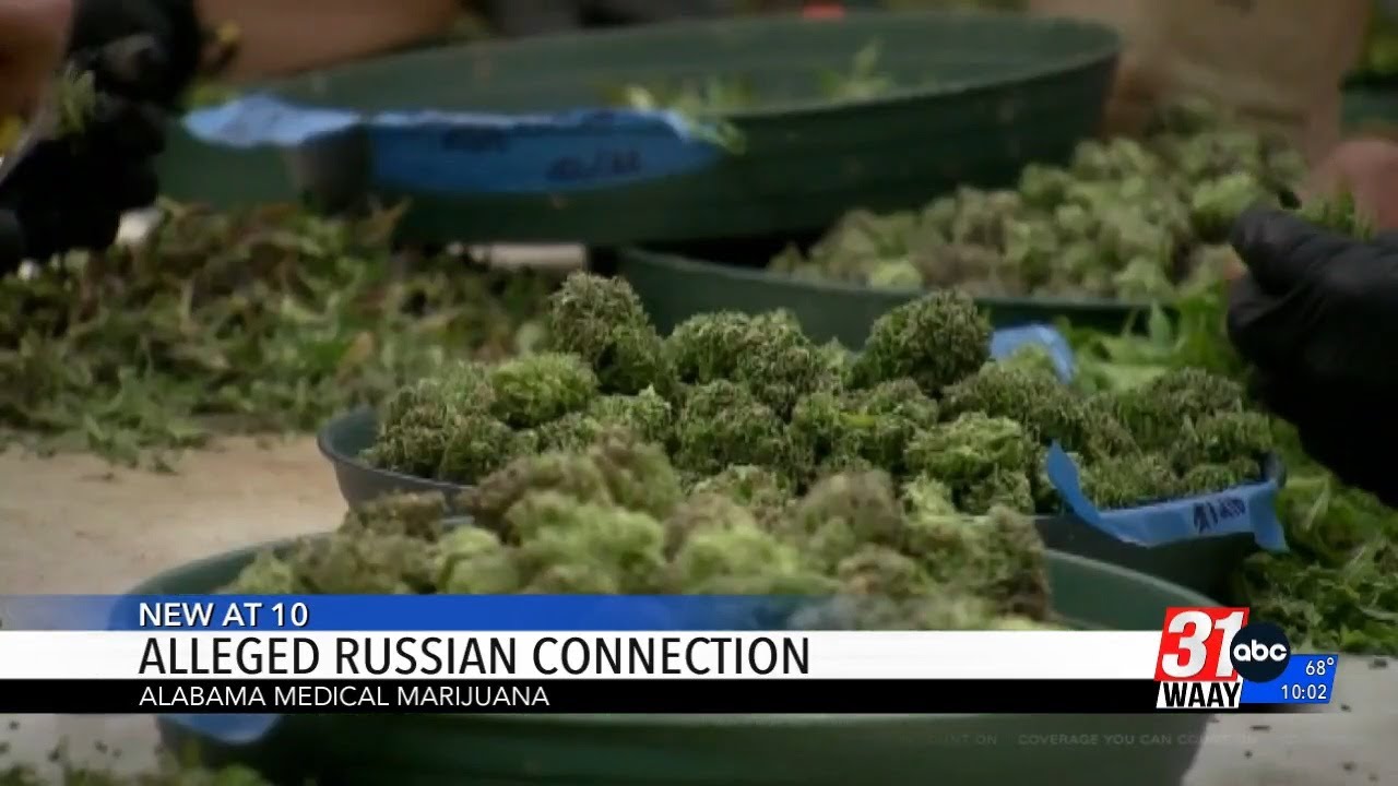 Alleged Russian Connection to Alabama Medical Marijuana