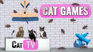 CAT TV | Cockroaches vs. Cats: The Ultimate Showdown  | 4K Bug Videos For Cats to Watch | Cat Games