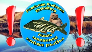 ❗ВАЖНО❗ НОВАЯ МЕХАНИКА КЛЁВА | Реальная Рыбалка. К просмотру обязательно ☝