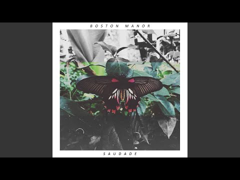 Asleep at the Wheel - Boston Manor