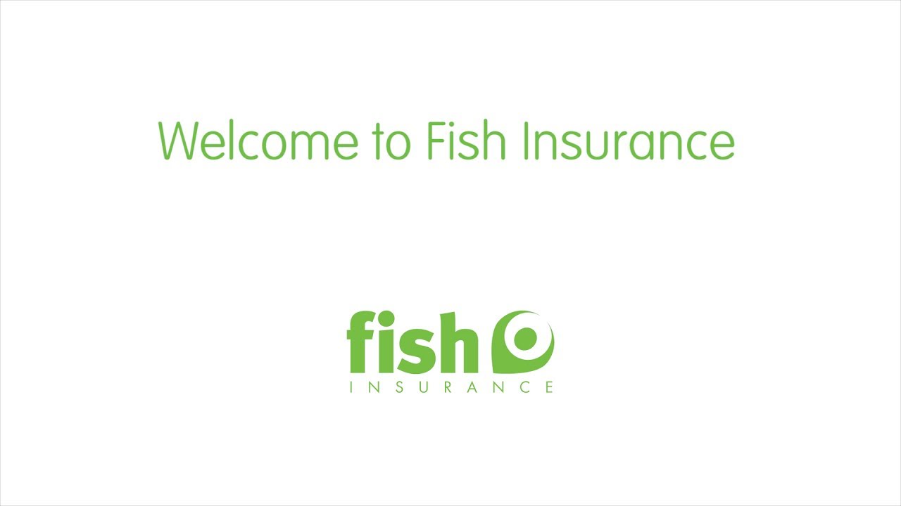 Fish Insurance Q&A to Fish Insurance YouTube