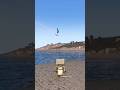 plane crash simulation #arma3 #gaming