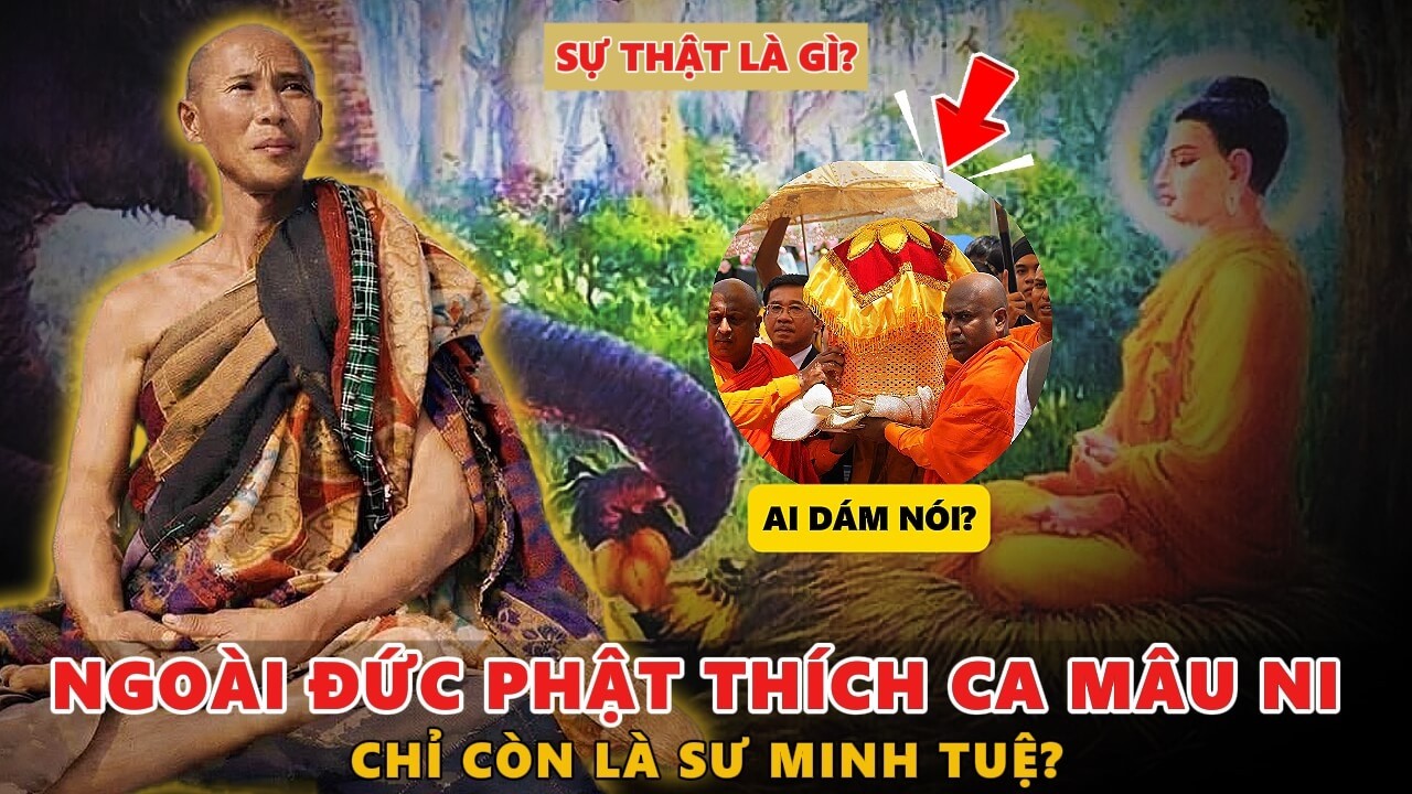BẤT NGỜ TRƯỚC PHÁT NGÔN: “Ngoài Đức Phật, Chỉ Là Sư Minh Tuệ” – Sự Thật Là Gì?