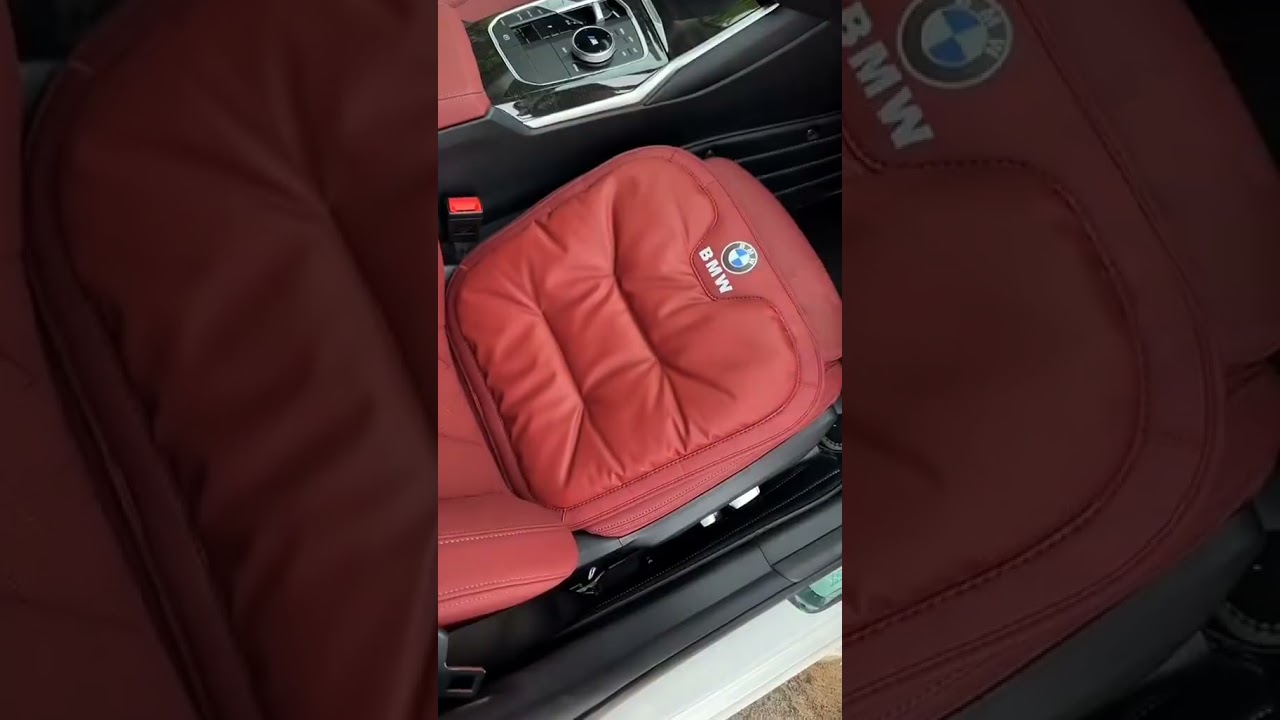 Car Cushions