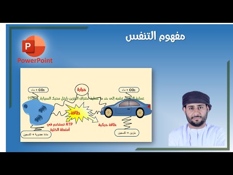 مفهوم التنفس