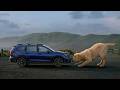 "BIG LOVE FOR THE SUBARU ASCENT” :15 SUBARU | CONSUMER REPORTS