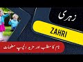 ZAHRI Name Meaning In Urdu English With Lucky Number ZAHRI Islamic Baby Boy Name Ali Bhai 