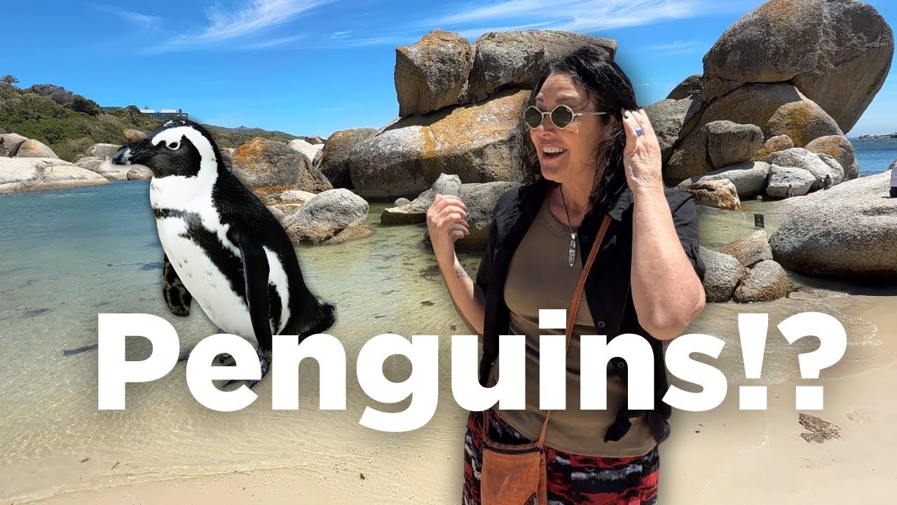 Cape Town: Penguins, Prisons, and Perspective