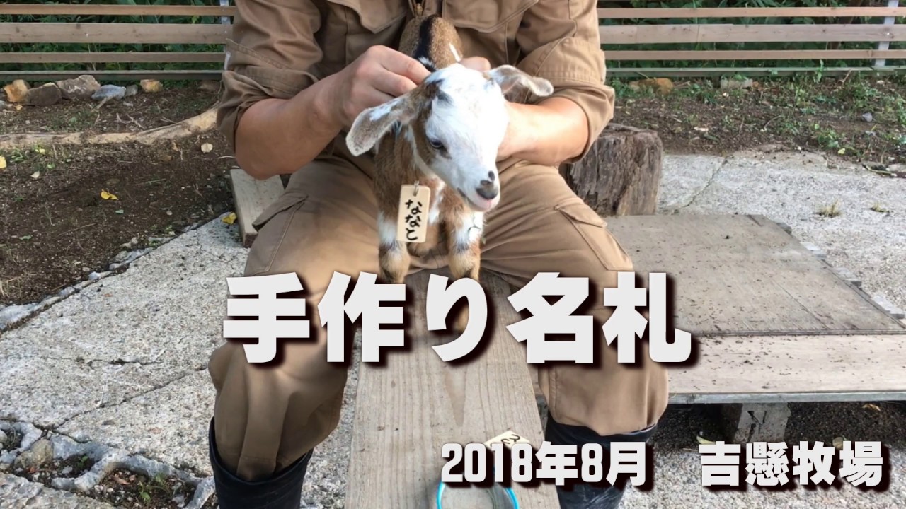 おとなしい子ヤギのジャンプシーンを集めてみた 18年10月 吉懸牧場 Kids Baby Goat Farm Youtube