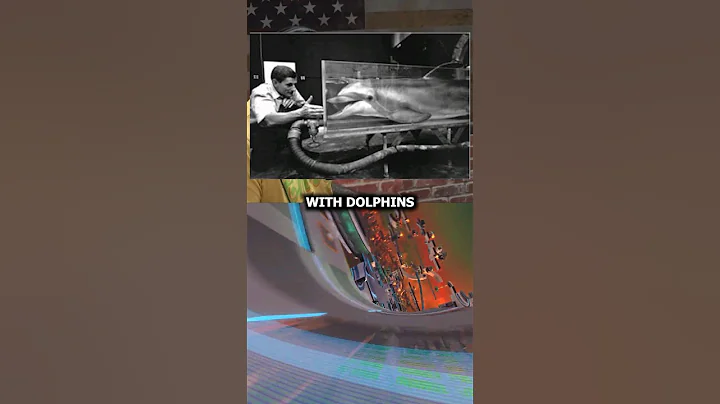 Talking to Dolphins on Acid #joerogan #shorts #podcast