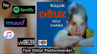 Küçük Oğuz - Ben Geldim Meyhaneci - Ankara Oyun Havaları Resimi