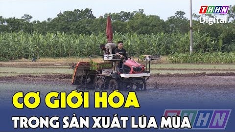 Cơ giới hóa trong sản xuất lúa Mùa | Hà Nam TV