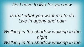 Accept - Walking In The Shadow Lyrics