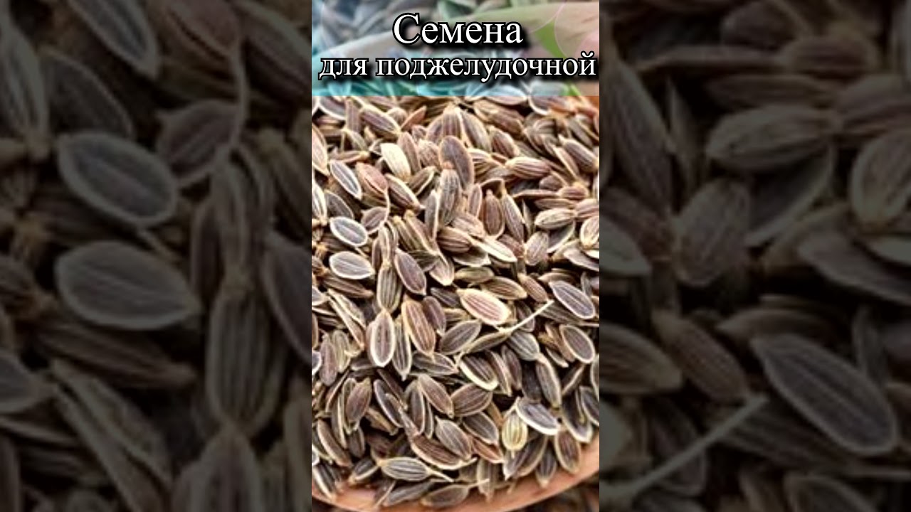 Семена укропа для поджелудочной?