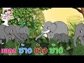 ช้าง ช้าง ช้าง น้องเคยเห็นช้างหรือเปล่า เพลงเด็ก Happy Channel Kids Song