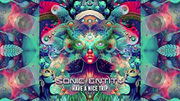 Sonic Entity - Have A Nice Trip