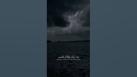 راحة نفسية #ناصر_القطامي #قرآن #آيات