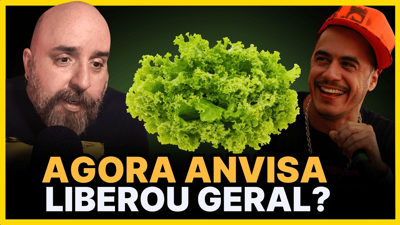 CANABIS MEDICINAL: ENTENDA as MUDANÇAS na REGULAMENTAÇÃO