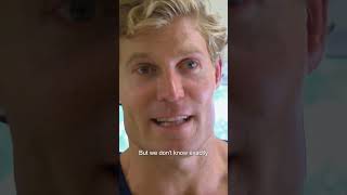 Famous Family Spare BIG Snake House Intruder's Life 🐍❤️ Bondi Vet #shorts Profile
