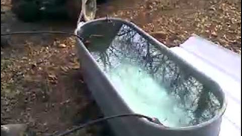 Making Maple Syrup 2011