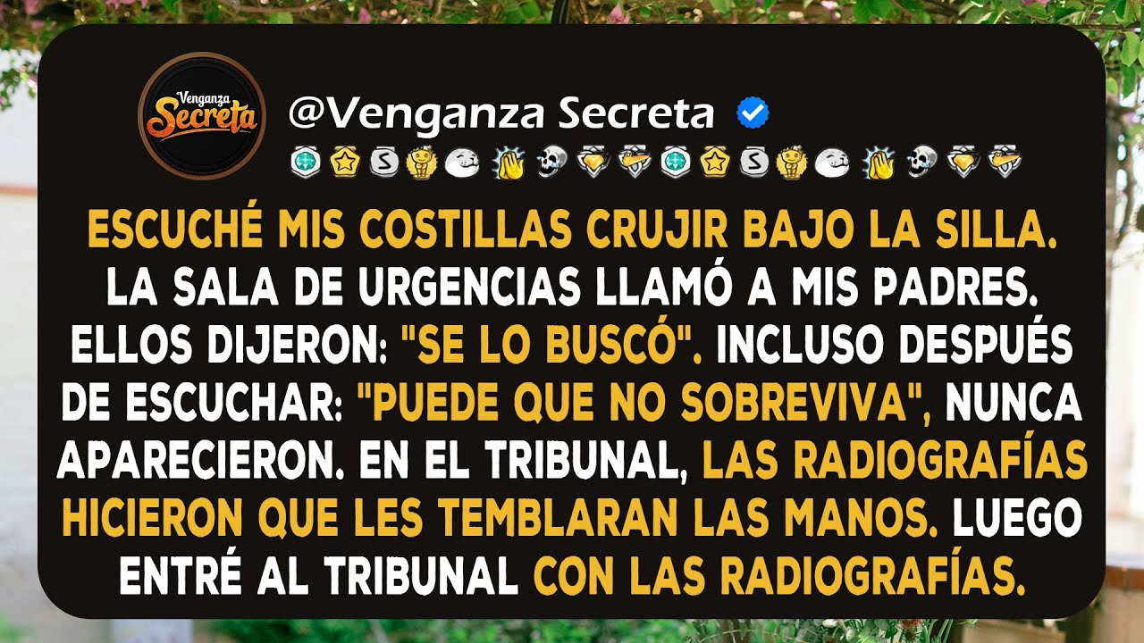 Mi hermana me rompió las costillas con una silla, y luego entré al tribunal con las radiografías.