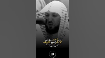 ماهر المعيقلي افمن شرح الله صدره للاسلام/سورة الزمر