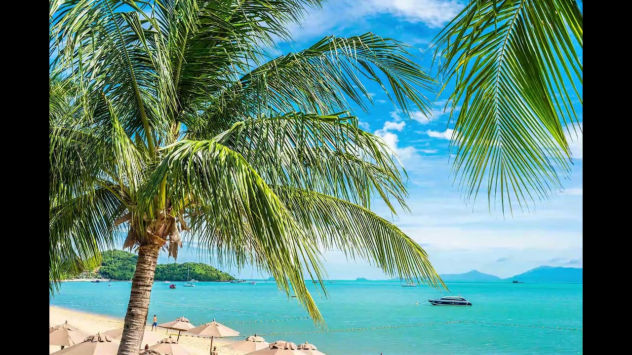 GM - Guapo De Verdad