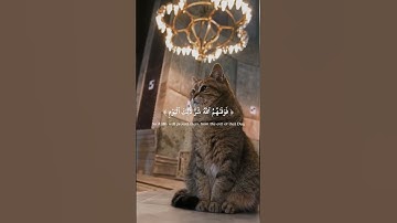وَجَزَىٰهُم بِمَا صَبَرُواْ | ما تيسرَ من سورة الإنسان بصوت القارئ احمد خضر | ارح سمعك | دهر