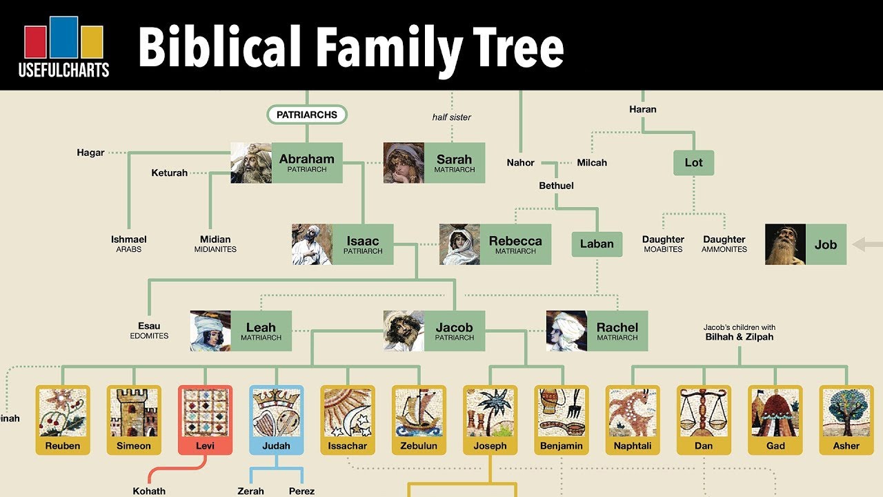 Your Family Tree Explained