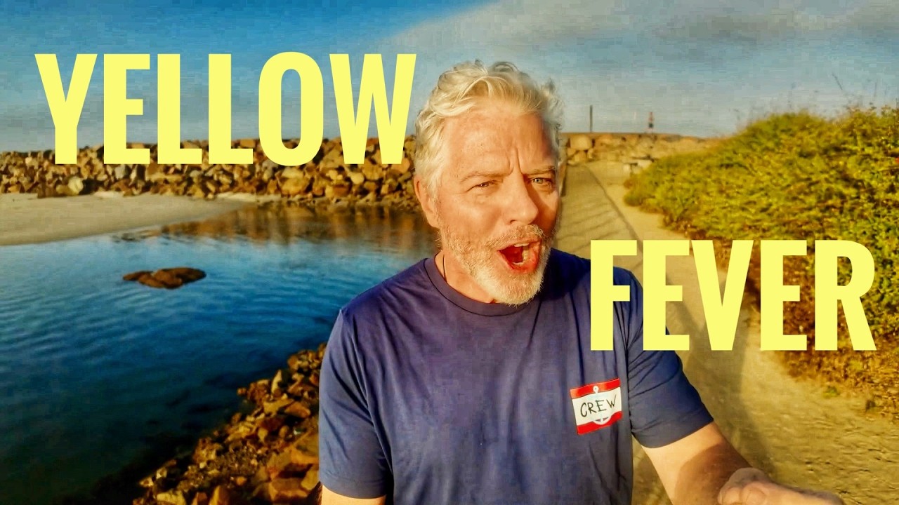 Yellow Fever