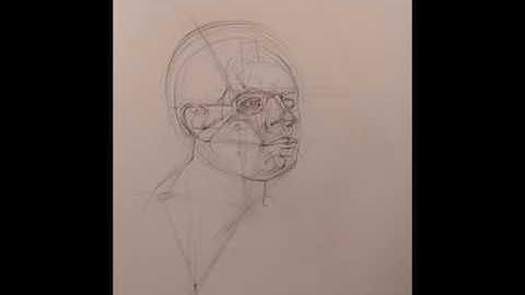 Portrait Triangulation Time-Lapse