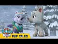 🐶 Pups Save a White Wolf | PAW Patrol | Cartoons for Kids