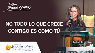 NO TODO LO QUE CRECE CONTIGO ES COMO T&Uacute;