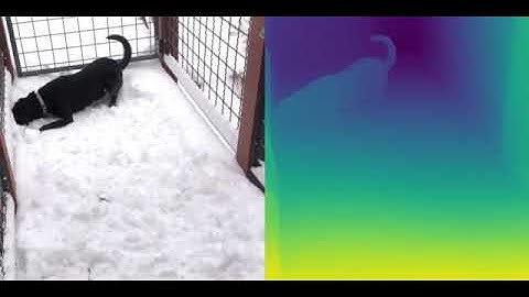 CoCo MonoDepth Example