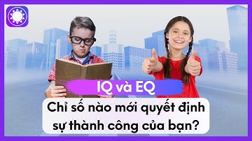IQ và EQ, Chỉ Số Nào Mới Quyết Định Sự Thành Công Của Bạn?