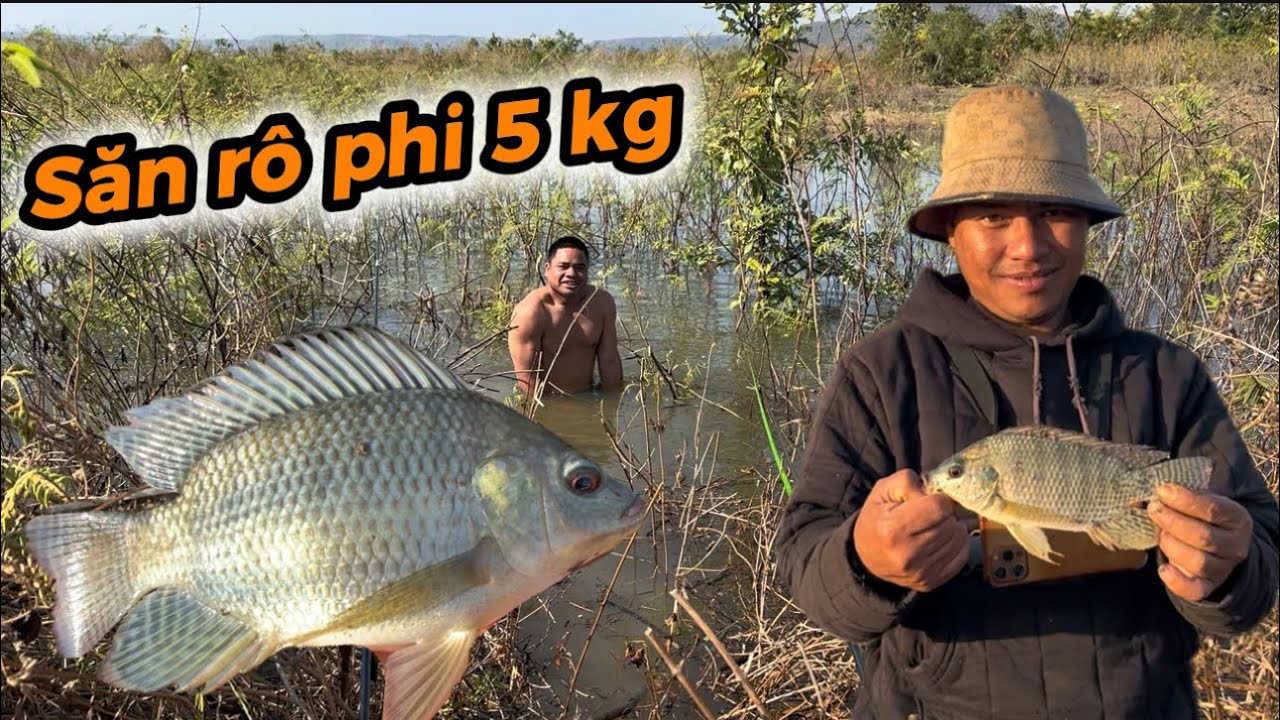 MỘT NGÀY SĂN CÁ RÔ PHI TRUY TÌM CÁ ￼5KG TẠI HỒ AYUN HẠ VÀ CÁI KẾT 