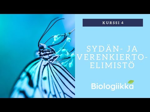 Erkki Palviainen – Kolesteroli ja muut sudenkuopat - Voi Paremmin Messut 25.3.2017. 